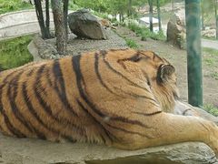 -栾川竹海野生动物园