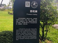 -东莞植物园