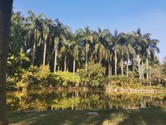 -滴水岩森林公园