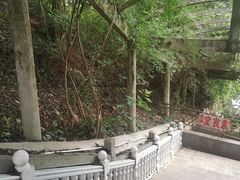 -盘龙寺