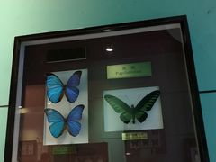 -上海昆虫博物馆