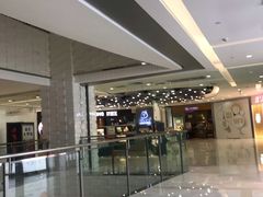 -远洋未来汇