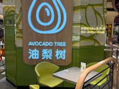 -油梨树AVOCADO TREE(嘉里中心店)