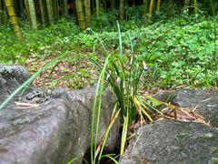 -苏州环秀晓筑养生度假村