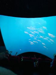 -飞览天下沉浸式飞行体验(北京旗舰店)