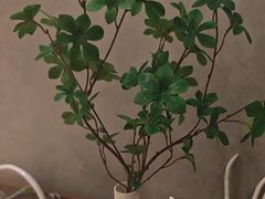 -百富源·海鲜辽菜(和平北大街店)