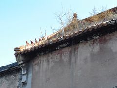 -原山国家森林公园