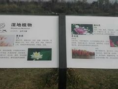 -桤木河湿地公园