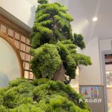 我女儿都快把一锅干光了