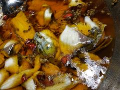 -雲蜀龙阁·金牌水煮鱼(方庄店)