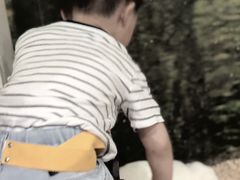 -上海大自然野生昆虫馆(东方明珠·爬宠昆虫探索中心)