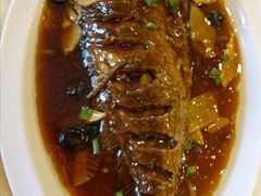 红烧黄鱼-南来顺饭庄·清真(南菜园店)