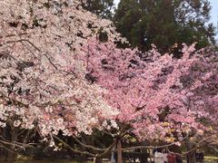 -醍醐寺