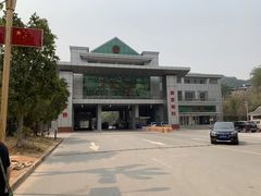 -打洛口岸
