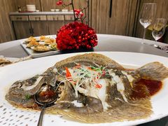 多宝鱼-神洲四海大酒楼(王府井澳门中心店)