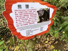 -普洱太阳河森林公园