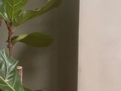 -MEDISN·药厂