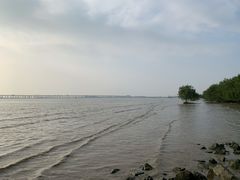 -宝安西湾红树林湿地公园