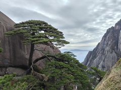 -黄山风景区