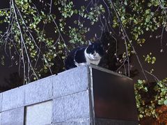 -同济大学(嘉定校区)