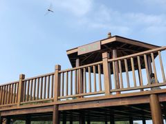 -南京市无想山景区