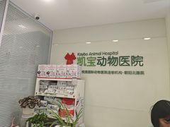 -悦宠凯宝动物医院·牙科·皮肤科(朝阳北路店)