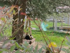 -西安秦岭野生动物园