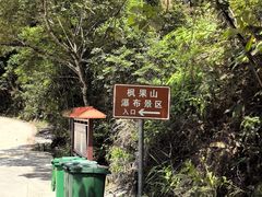 -海南热带雨林国家公园吊罗山景区