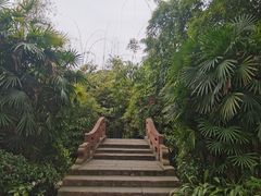 -望江楼公园
