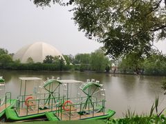 -白洋淀景区