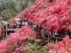 -木兰云雾山