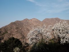 -静之湖度假区