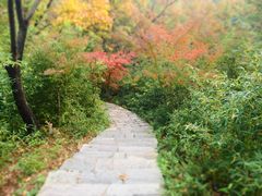 -大伊山景区