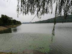-羊山湖公园