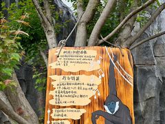 -武汉动物园