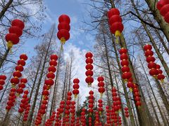 -东平国家森林公园