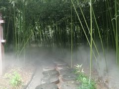 -雪山彩虹谷景区