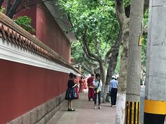 -大学路8号炸串(大学路十四号院店)