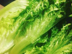 -金海阁海鲜火锅