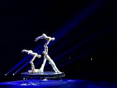 -珠海横琴长隆《卡卡虎奇遇记》