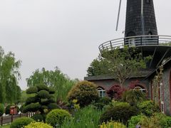 -上海鲜花港