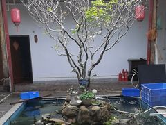 -水库河鲜村