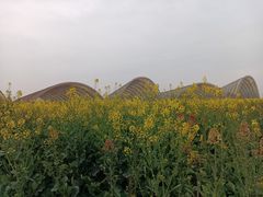 -中国天府农业博览园