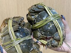 -蟹小姐节气生鲜·年货(高新店)