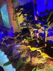 -恐龙探索乐园(磁器口店)