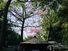 -嘉和K6温泉微度假