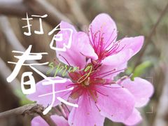 -洛带古镇