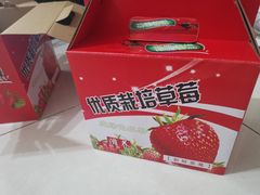 -小鱼草莓采摘园农家乐·小鱼餐厅