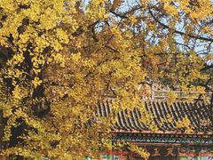 -佛荫寺