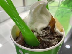 冻酸奶-Salud撒露欧洲冻酸奶(蓝色港湾店)